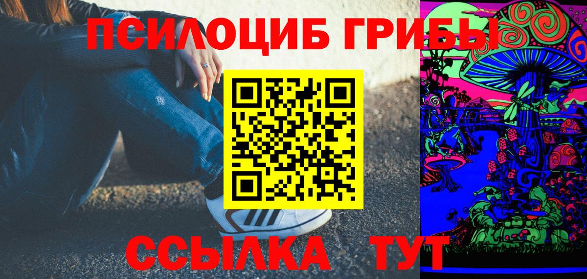 Псилоцибиновые грибы Psilocybine cubensis Россошь