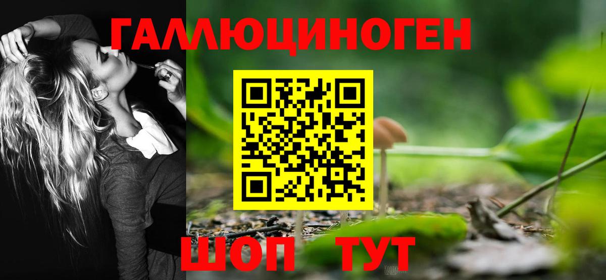 Псилоцибиновые грибы Magic Shrooms  Псилоцибиновые грибы GOLDEN TEACHER  Вход с VPN  Россошь 