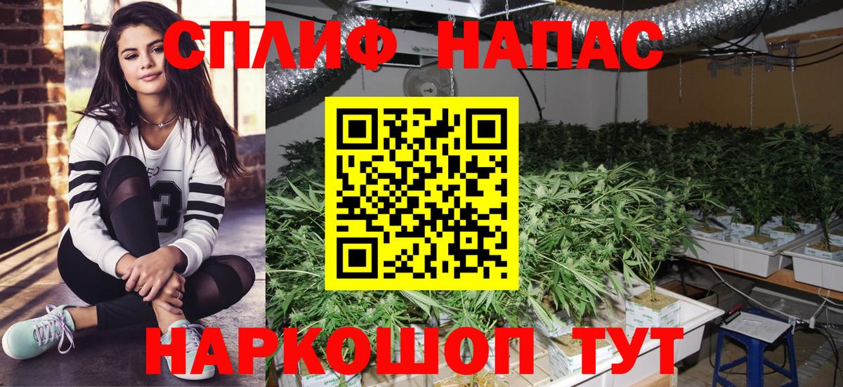 Канабис OG Kush Россошь
